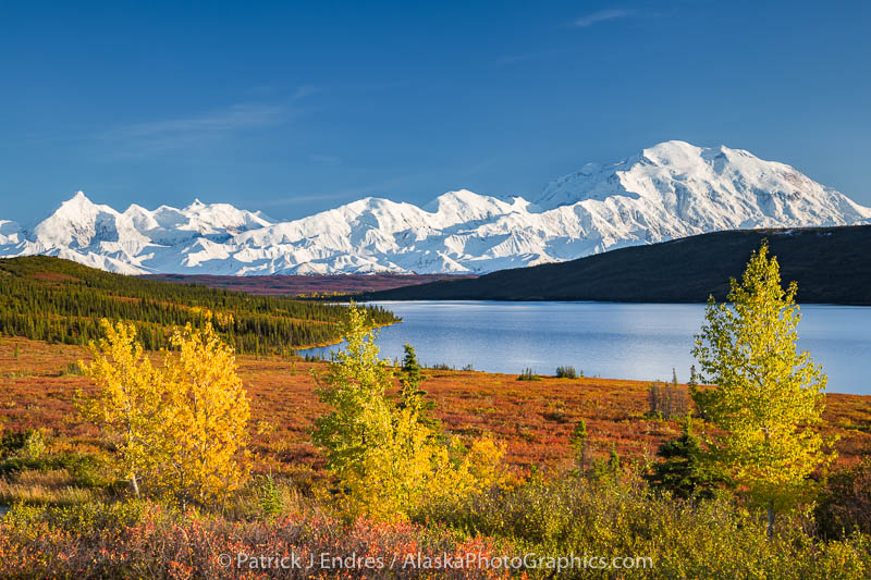 Denali National Park, Interior, Alaska