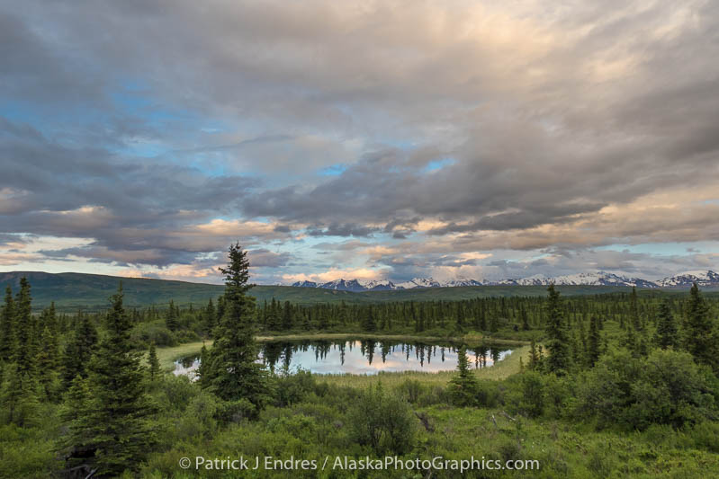 Tundra pond in the Alaska Range. Canon G3X, 1/125 sec. @ f/6.3, ISO 200, 10:47pm