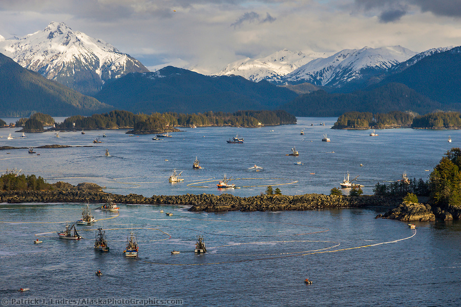 2006 Herring Sac Roe commercial fishing fleet during the second opener in Sitka Sound. (Patrick J. Endres / AlaskaPhotoGraphics.com)