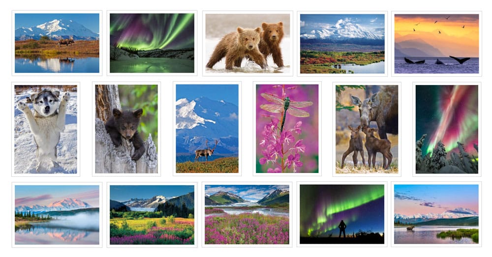 Alaska notecards