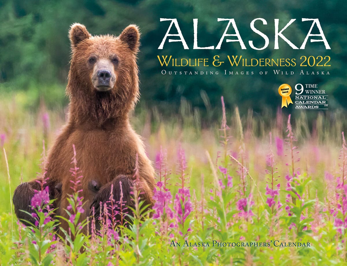 alaska wildlife and wilderness calendar